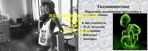 метадон Инта