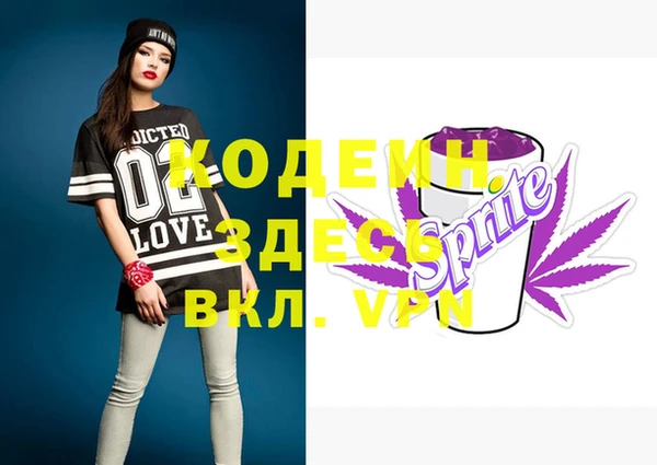 метадон Инта