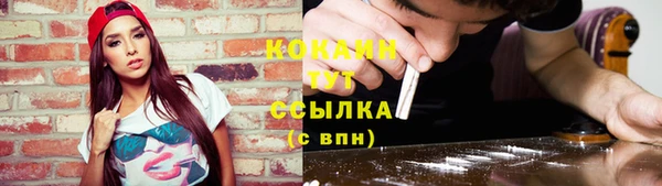 а пвп мука Инсар