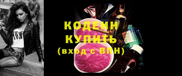 метадон Инта