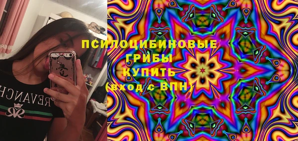 метадон Инта
