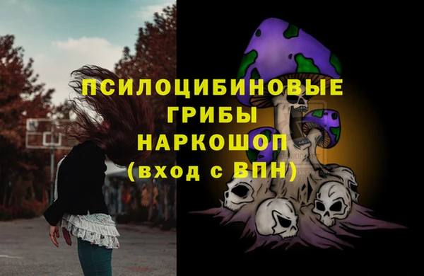 а пвп мука Инсар